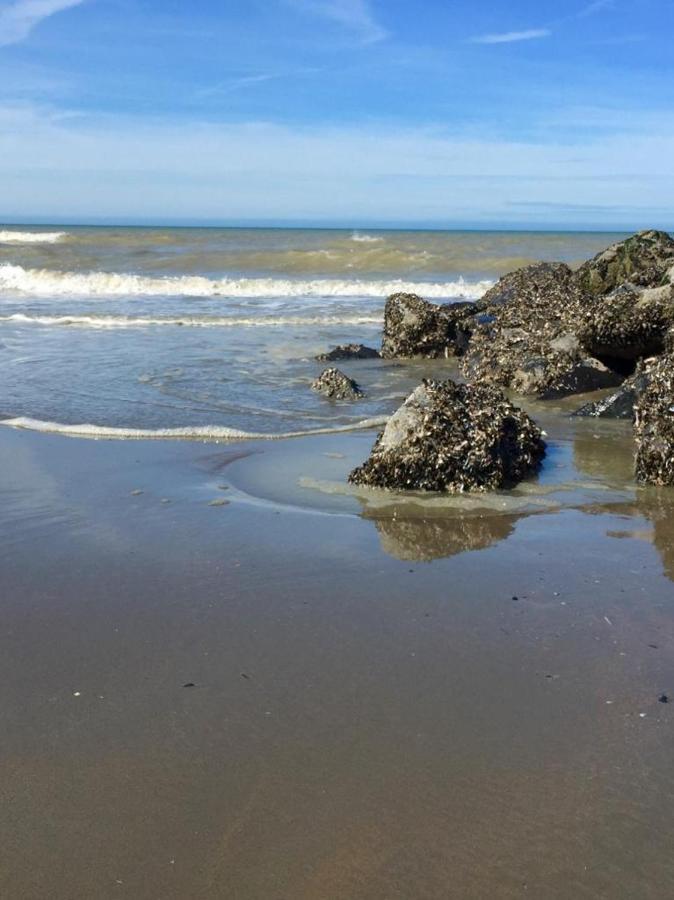 Appartement On The With Sea View Middelkerke