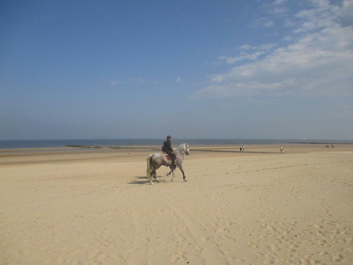 On The With Sea View Middelkerke
